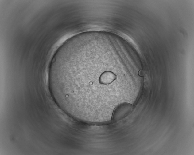 X0000113361419200910061030