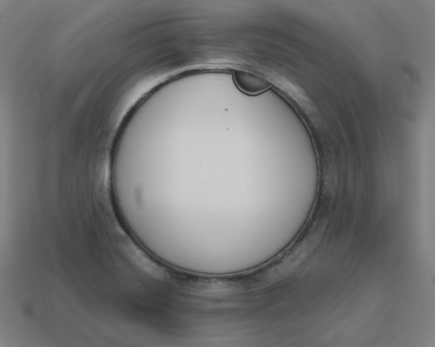 X0000113361420200910061030