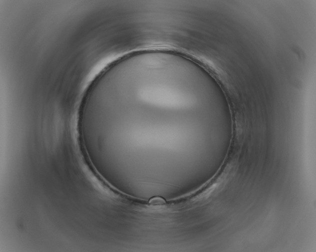 X0000113361422200910061030