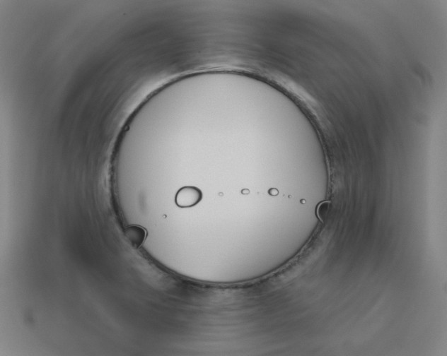 X0000113361423200910061030