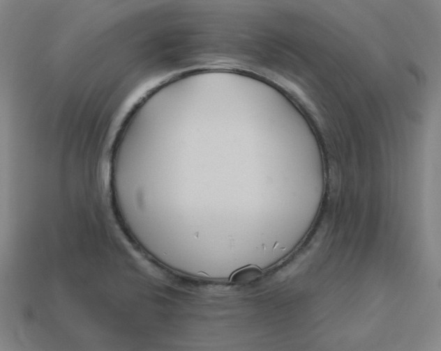 X0000113361424200910061030