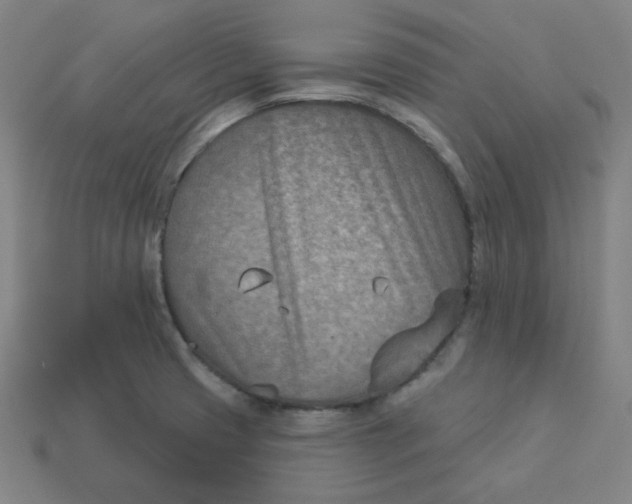 X0000113361425200910061030