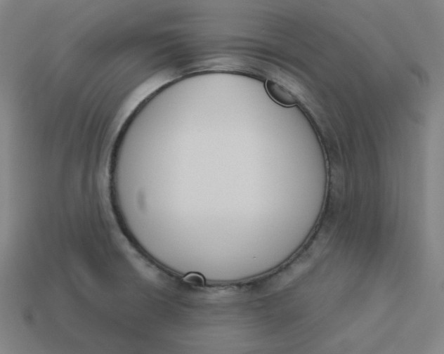 X0000113361426200910061030