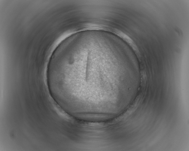 X0000113361427200910061030