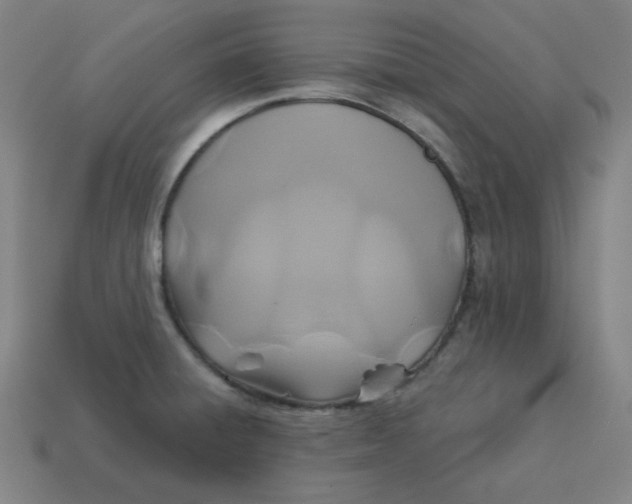 X0000113361428200910061030