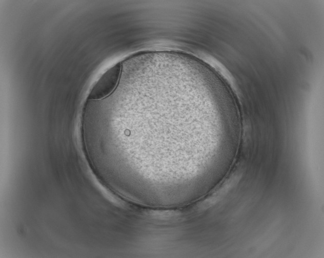 X0000113361429200910061030