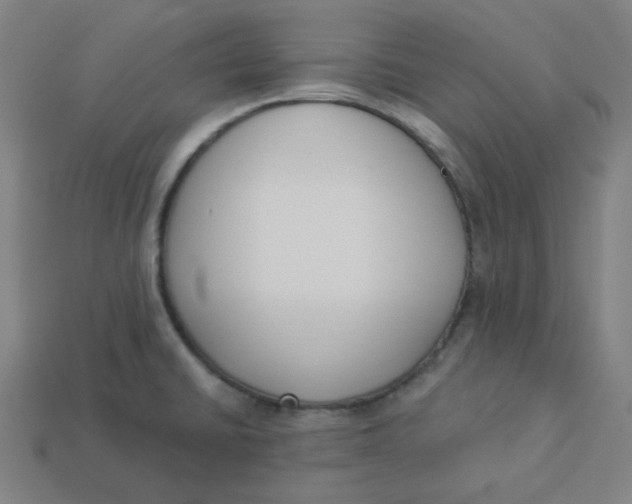 X0000113361430200910061030