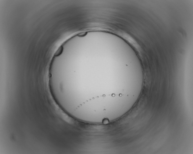 X0000113361431200910061030