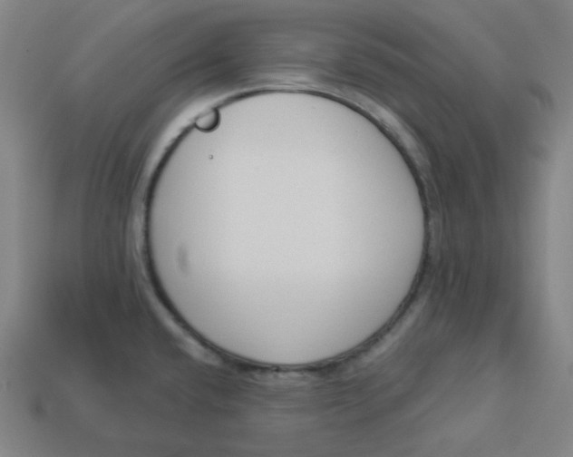 X0000113361432200910061030