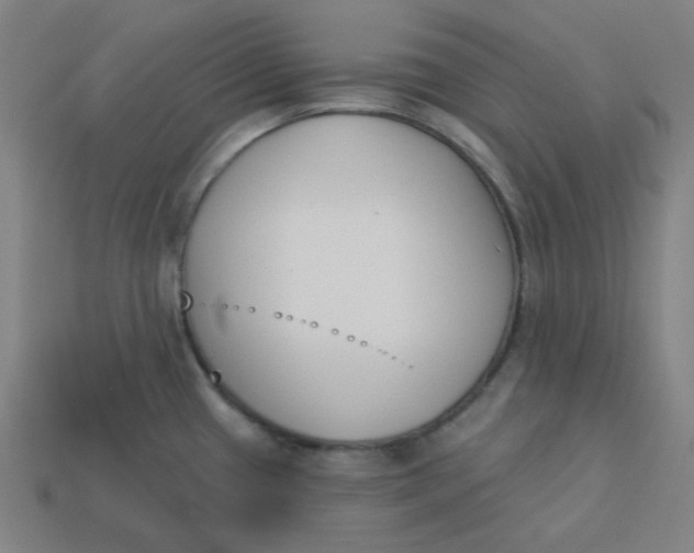 X0000113361433200910061030