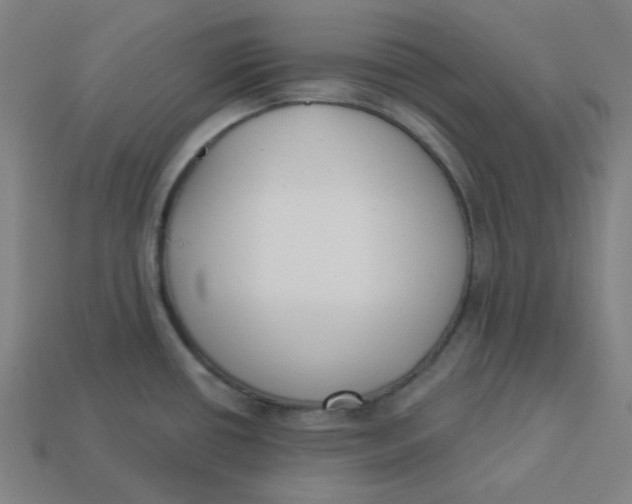 X0000113361434200910061030