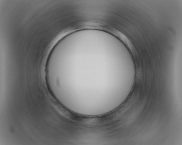 X0000113361435200910061030