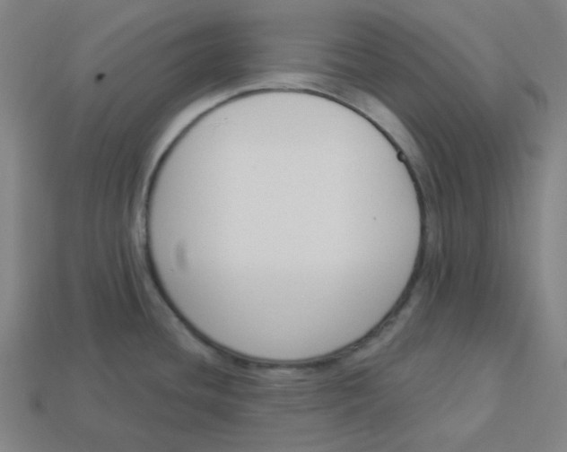 X0000113361436200910061031