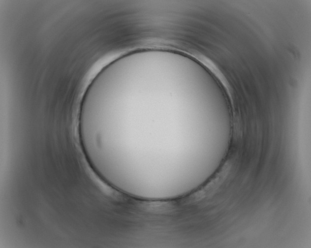 X0000113361437200910061031