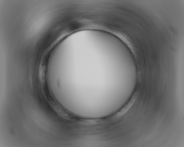 X0000113361438200910061031