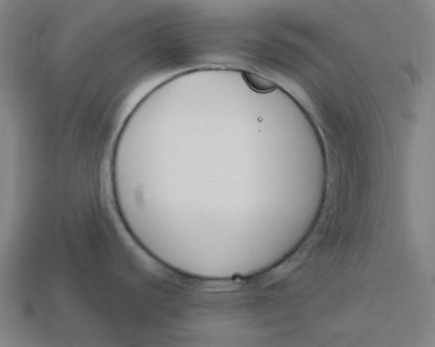 X0000113361440200910061031