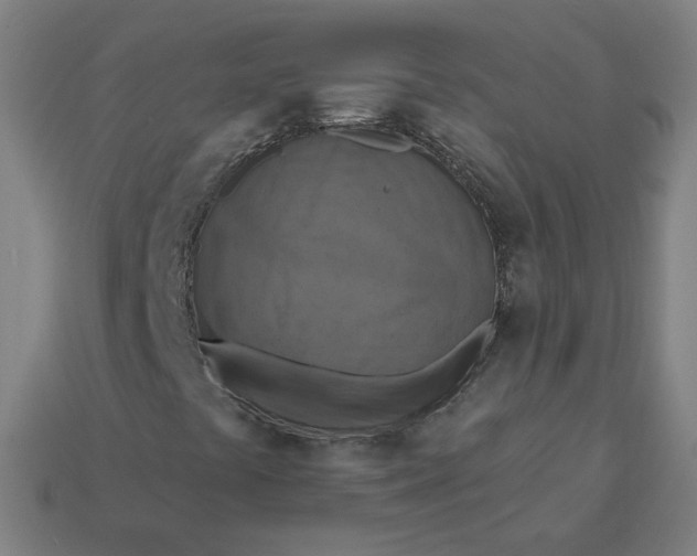 X0000113361441200910061030