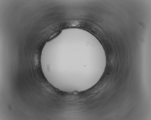 X0000113361442200910061030