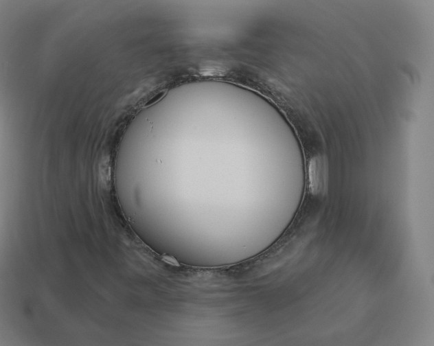 X0000113361443200910061030