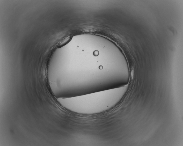 X0000113361444200910061030