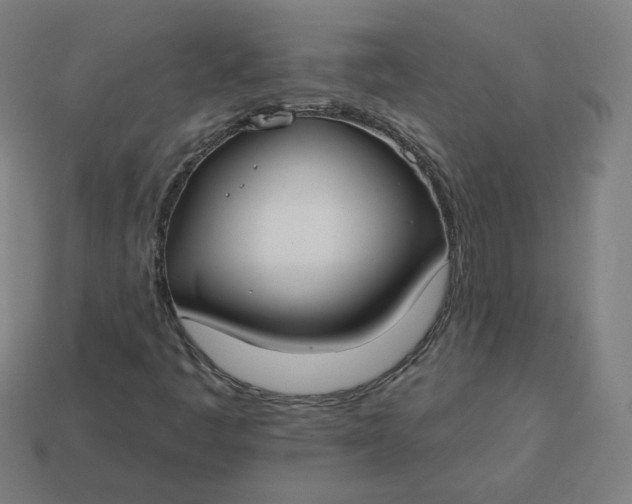 X0000113361445200910061030