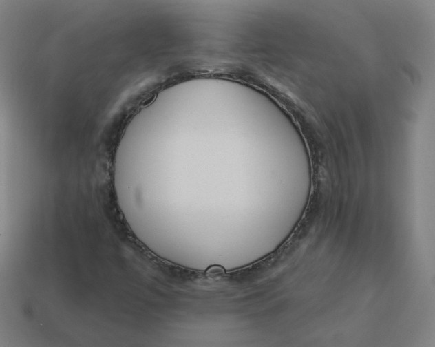 X0000113361447200910061030