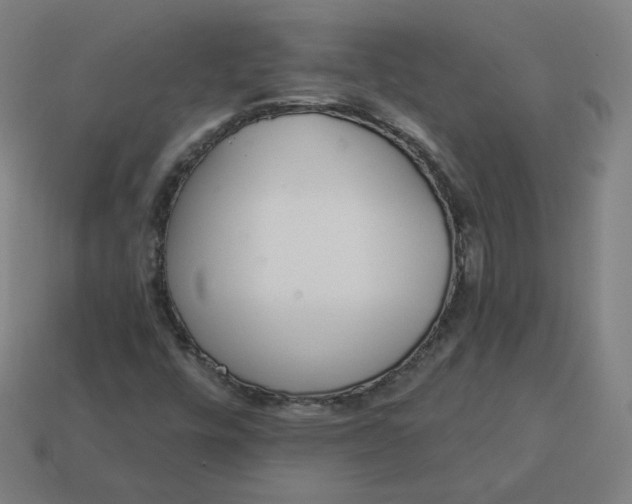 X0000113361448200910061030