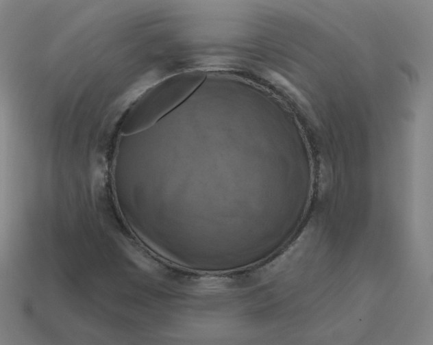 X0000113361449200910061030