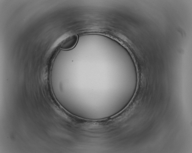 X0000113361450200910061030