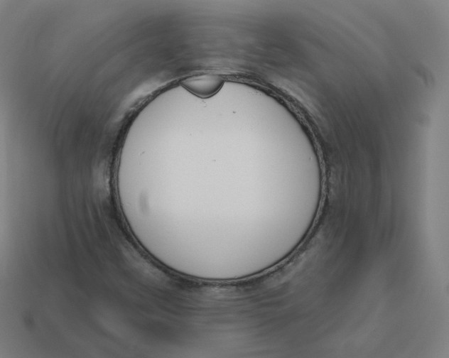 X0000113361451200910061030