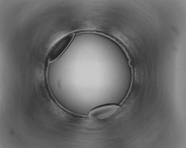 X0000113361452200910061030