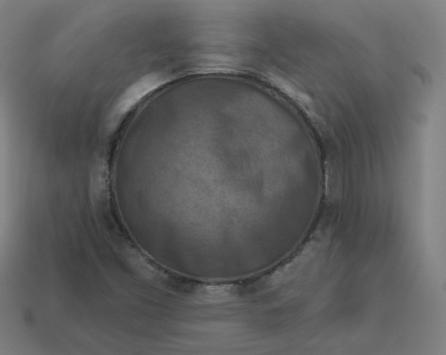 X0000113361453200910061030