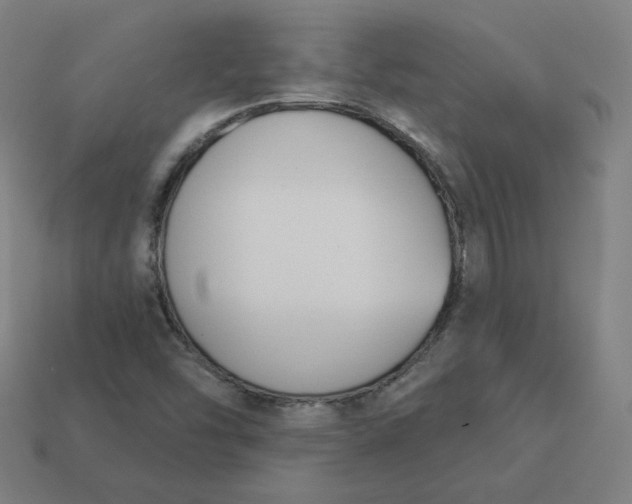 X0000113361454200910061030