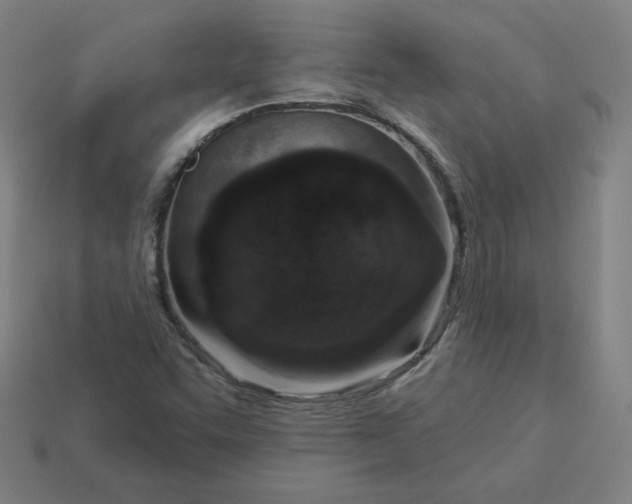 X0000113361455200910061030