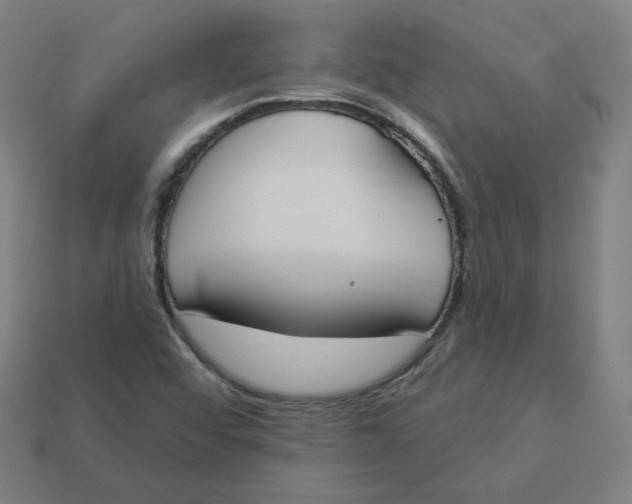 X0000113361456200910061030