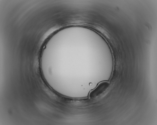 X0000113361458200910061030