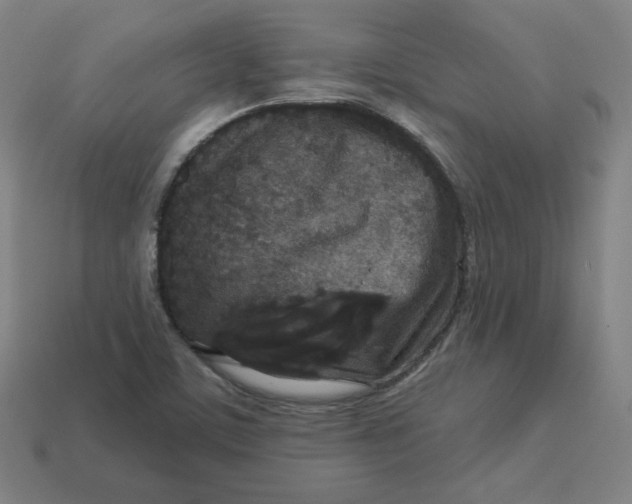 X0000113361459200910061030