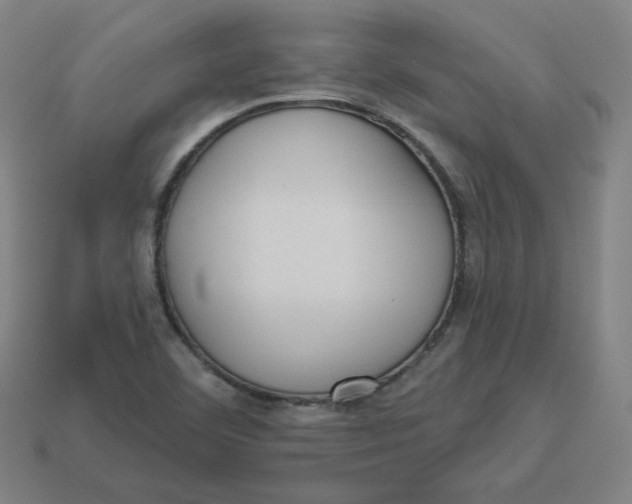 X0000113361460200910061030