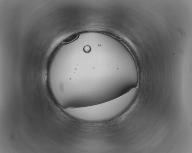 X0000113361461200910061030