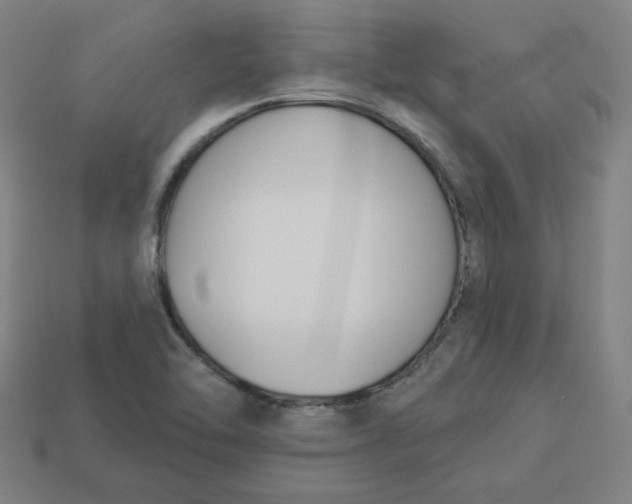 X0000113361462200910061029