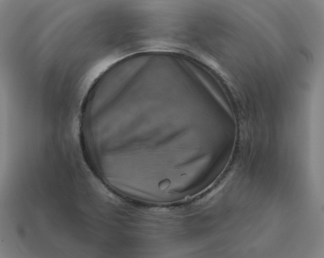 X0000113361463200910061029