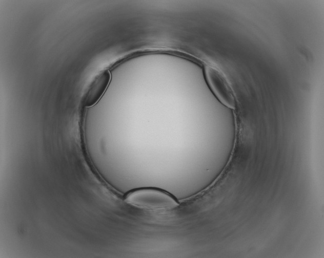 X0000113361464200910061029