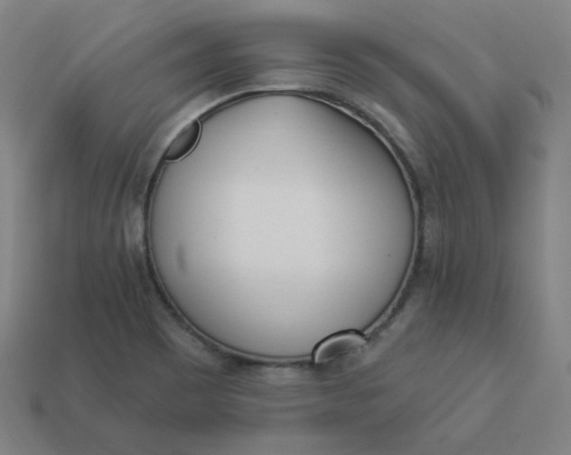 X0000113361465200910061029