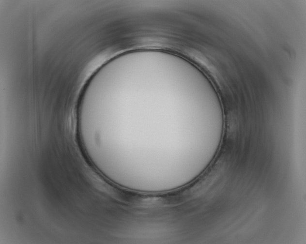 X0000113361467200910061029