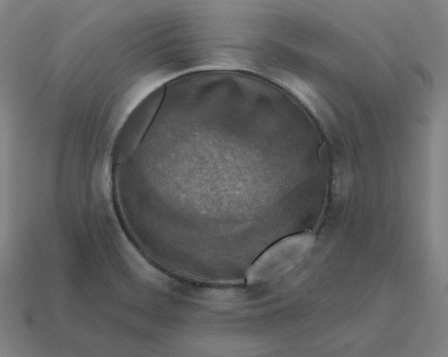 X0000113361468200910061029