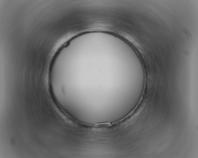 X0000113361469200910061029