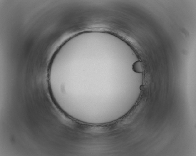 X0000113361470200910061029