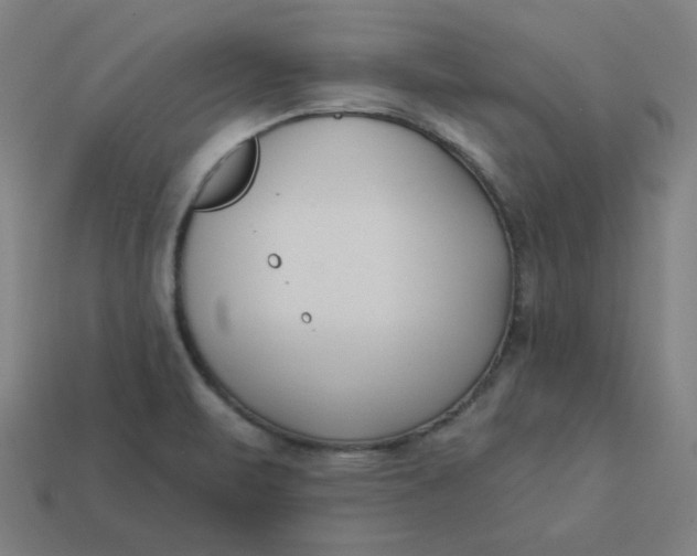 X0000113361471200910061029