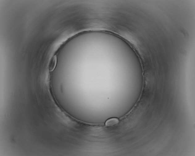 X0000113361472200910061029