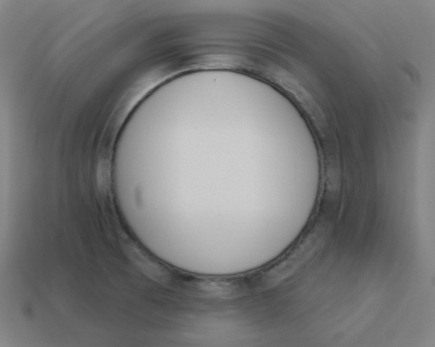 X0000113361473200910061029